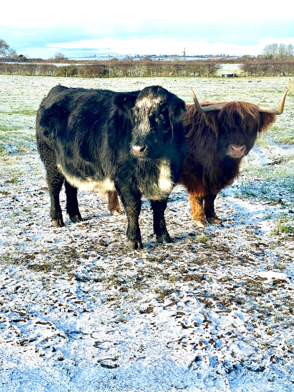 Wintery Snow and ice limiting&nbsp;progress